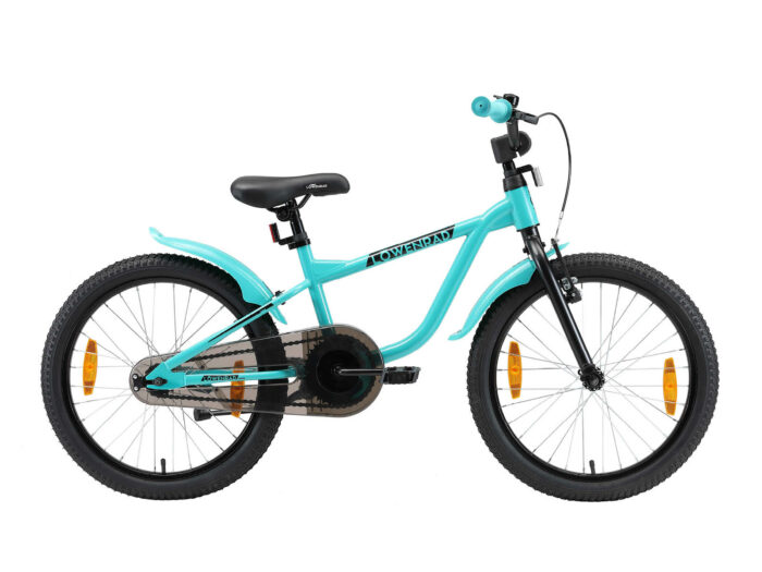Löwenrad kinderfiets 20 inch wielen mintgroen