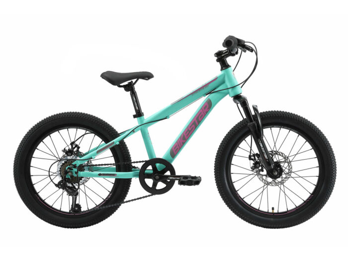 Bikestar kinderfiets MTB Staal 7speed 20inch mintgroen