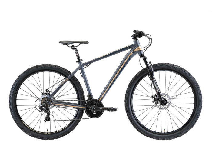 Bikestar Hardtail MTB Alu Sport Large 29 Inch 21 Speed grijs/goud