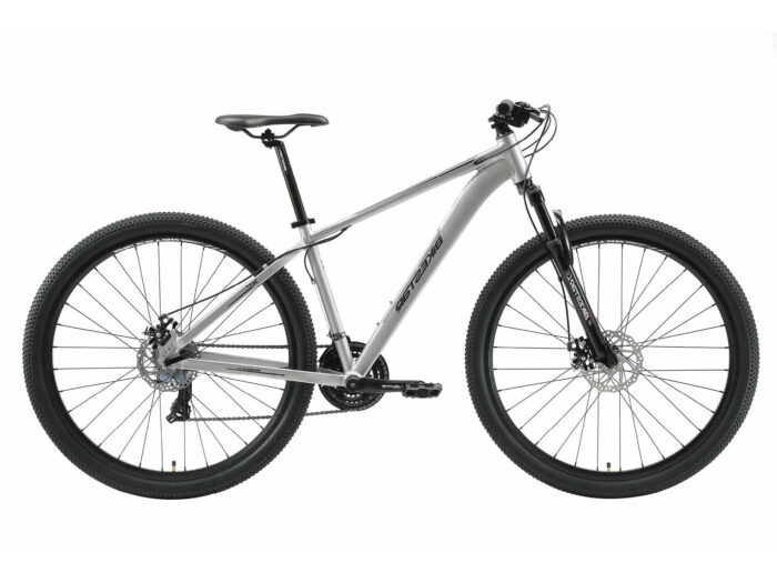 Bikestar Hardtail MTB Alu Sport Medium 29 Inch 21 Speed Zilver